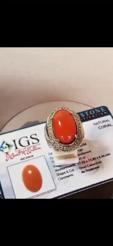 Batu marjan asli memo