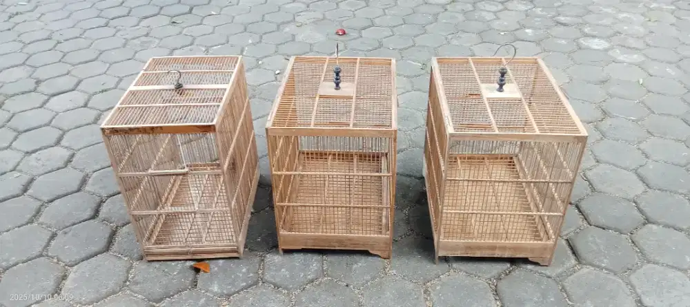 Borongan 3 sangkar ternak kenari