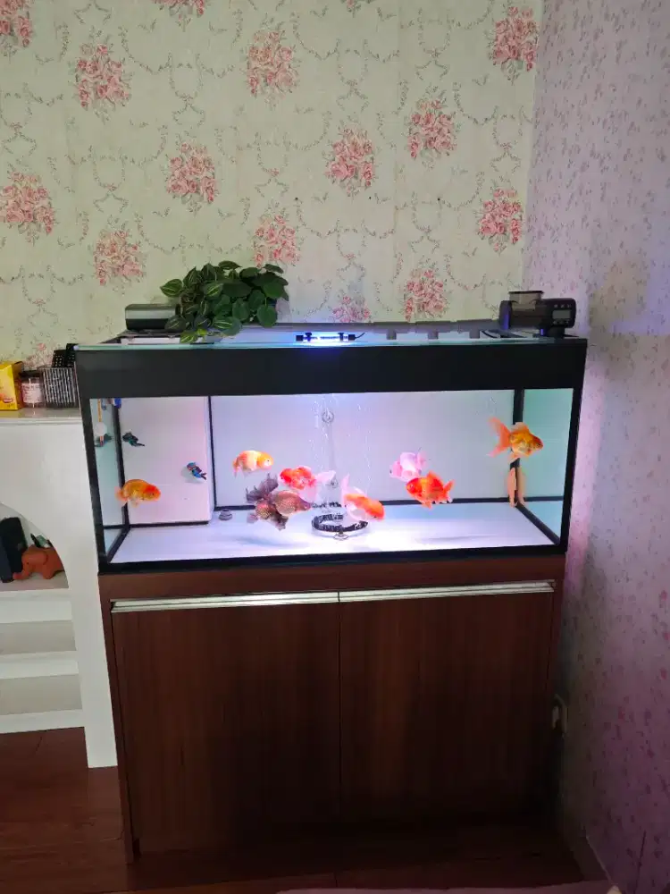 Dijual AQUARIUM + KABINET (SUMP FILTER)