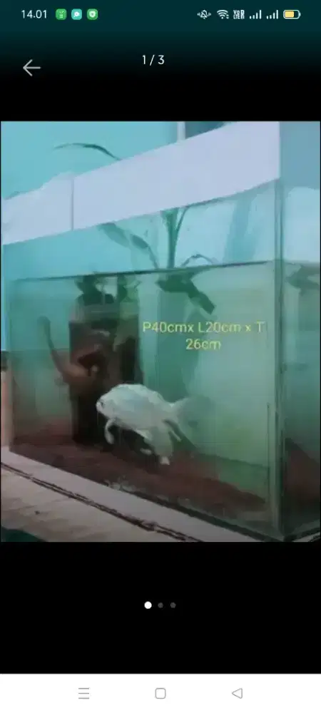 Aquarium+ aerator 1lubang