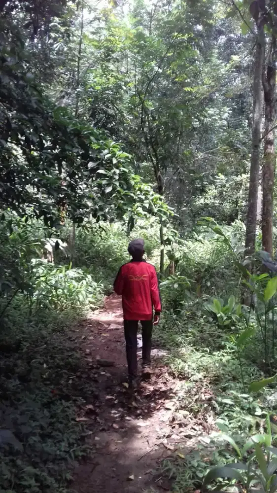 Tanah kebon buat tanam