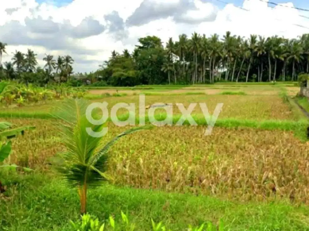 TANAH VIEW SAWAH DI SUBAK SARI KEMENUH SUKAWATI GIANYAR, BALI