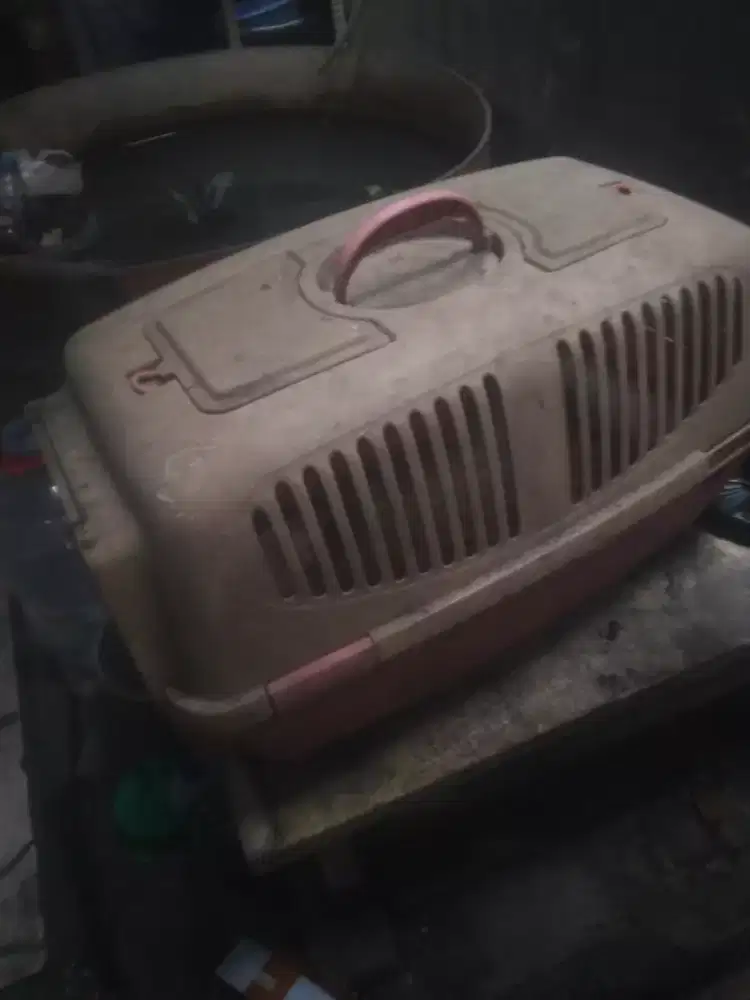 Kandang kucing lumayan