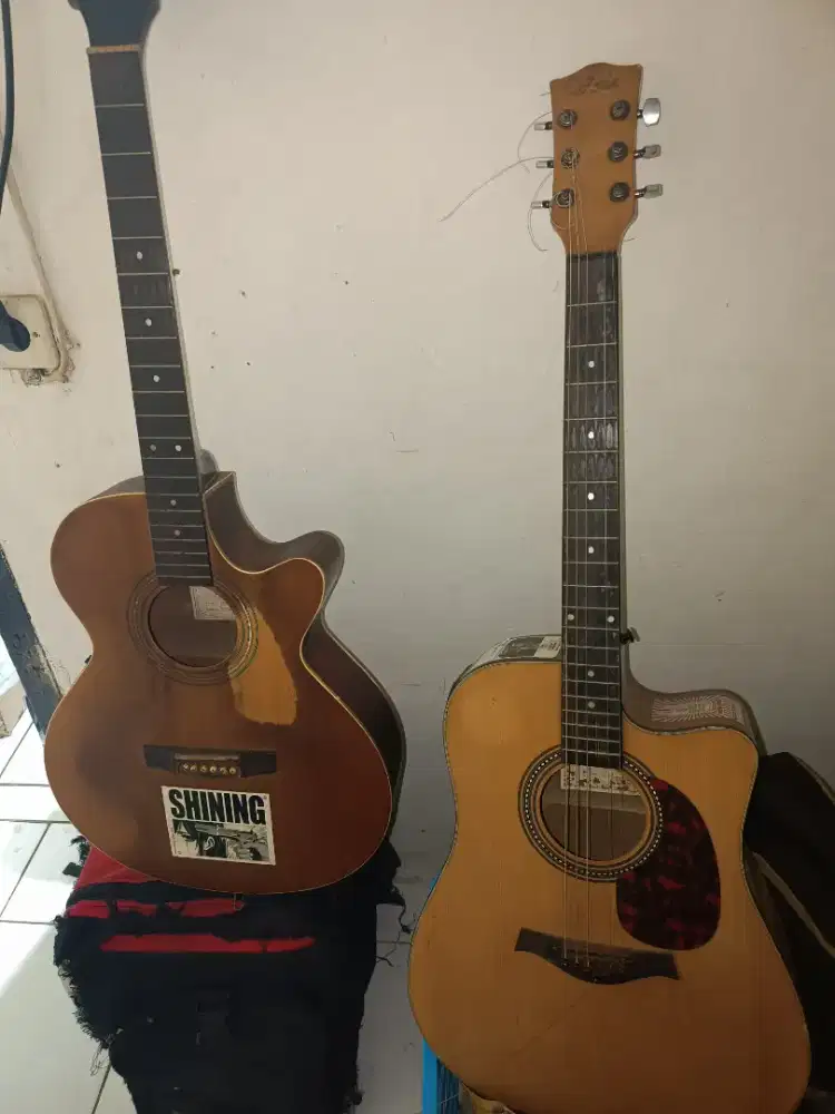 Gitar Cort & Voila
