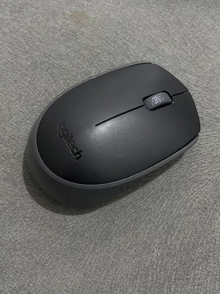 Mouse Logitech M170