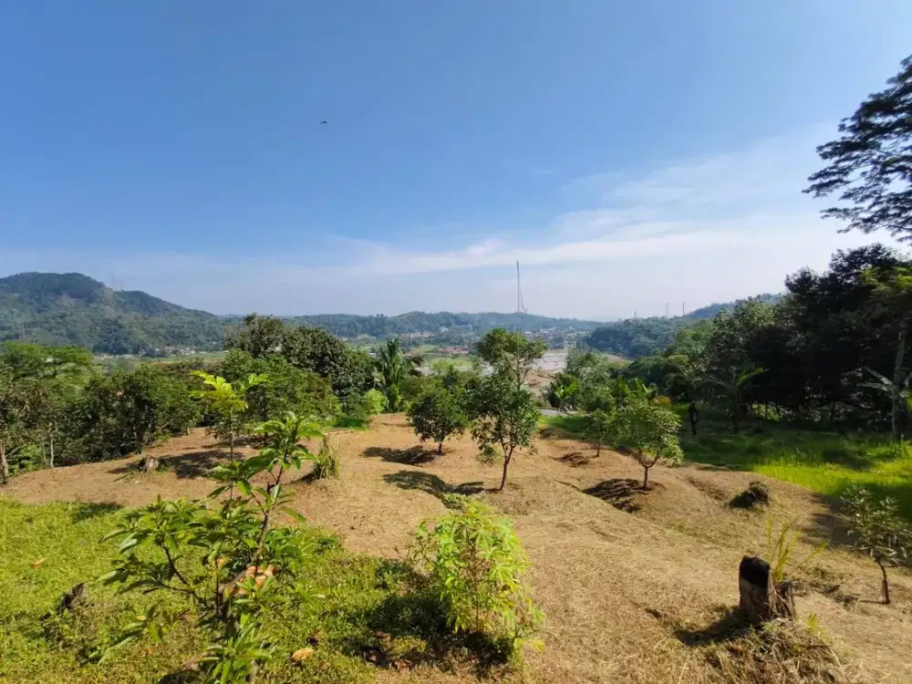 Jual kebun durian 5 Ha di leuwiliang bogor, SHM, View Gunung