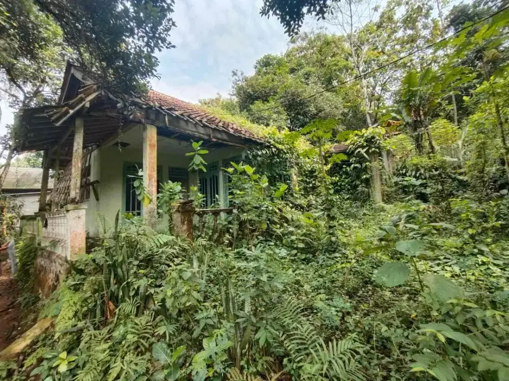 Tanah kavling luas cocok untuk villa