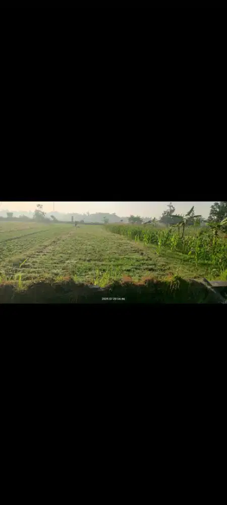 Dijual tanah sawah BU segera