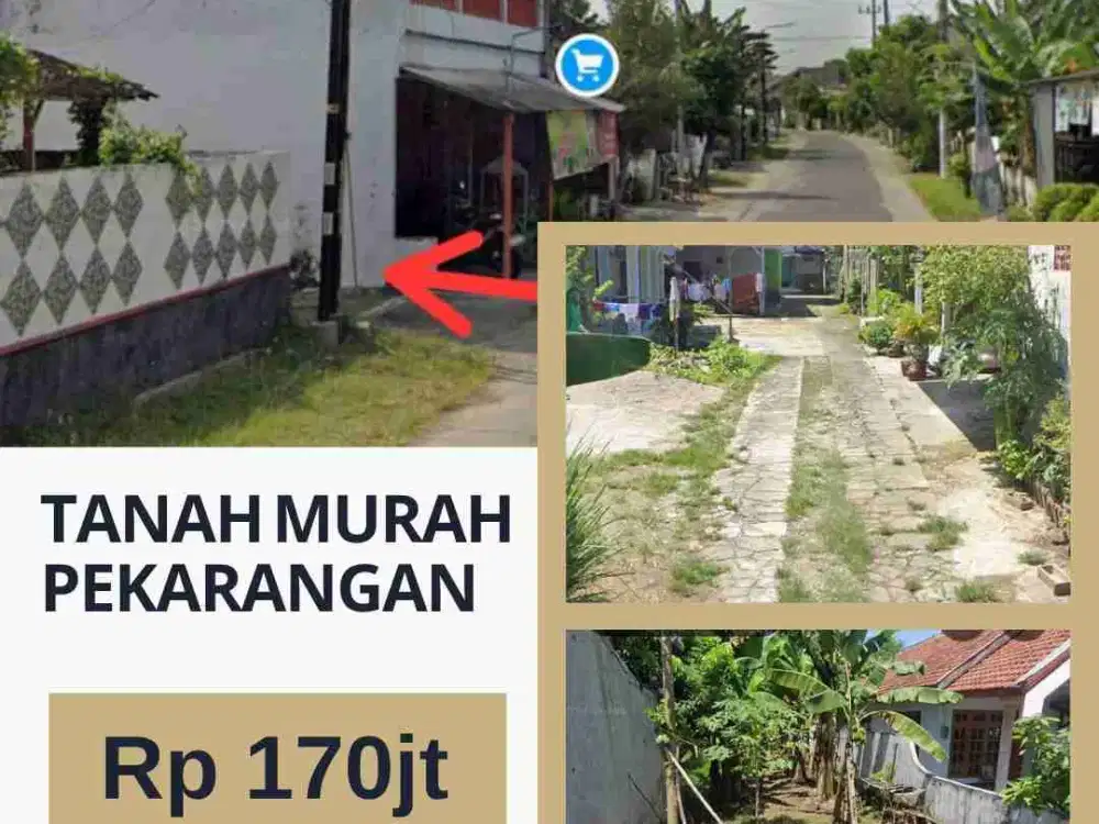 Dijual Tanah Pekarangan Murah di Wayut Madiun