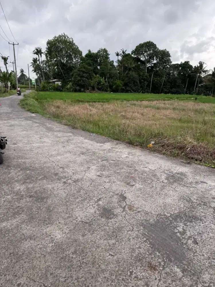 25mnit to Canggu Kedungu Beach