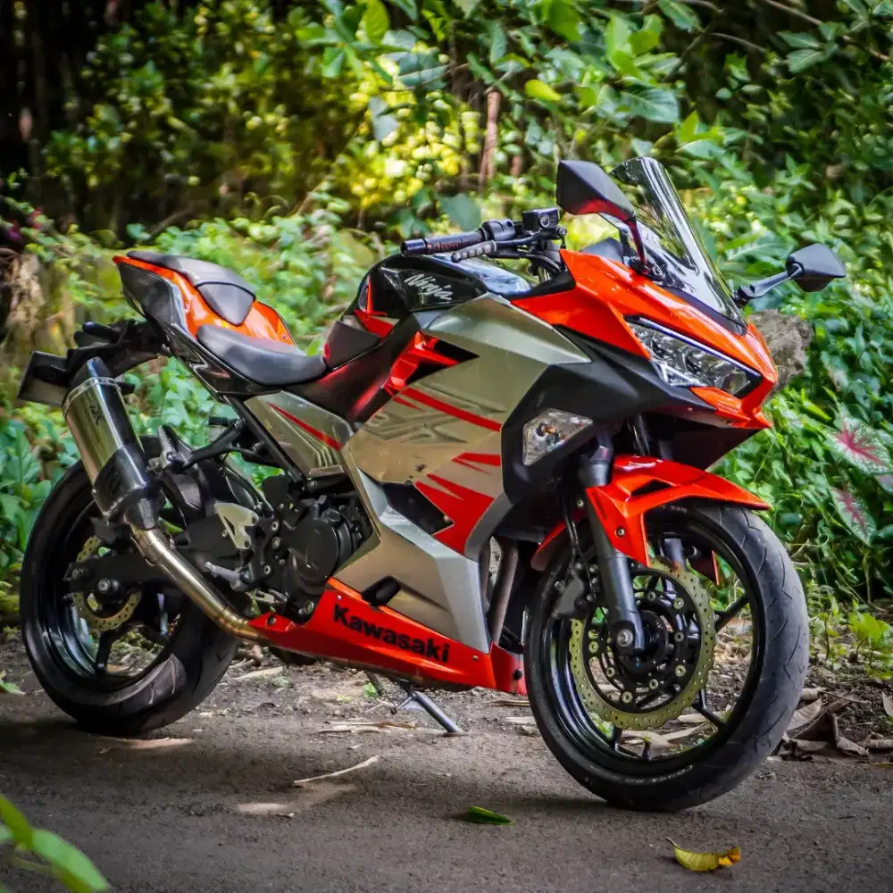 Kawasaki New ninja 250