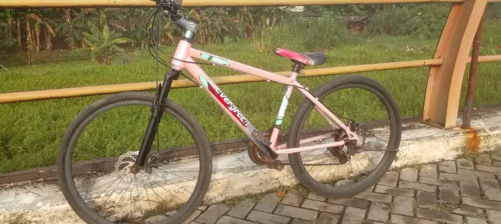 Sepeda gunung everygreen