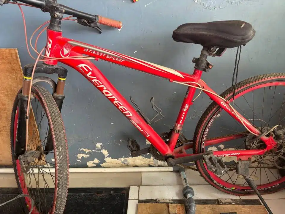 sepeda gunung / mountain bike evergreen, nett gan