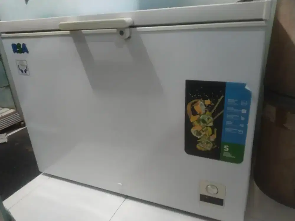 Freezer Box RSA 310 Liter