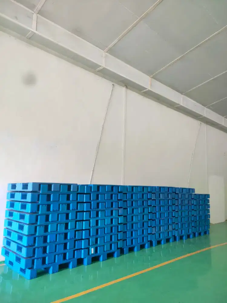 Pallet Plastik Second Bagus Dan Murah