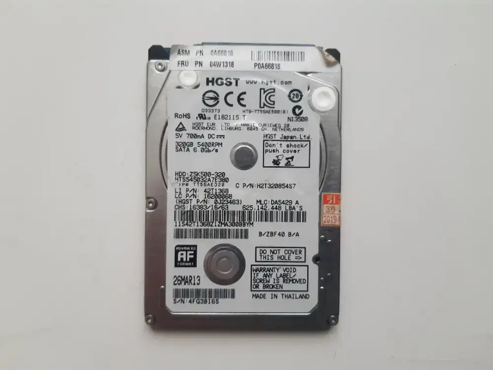 Hardisk HDD HGST 320 GB