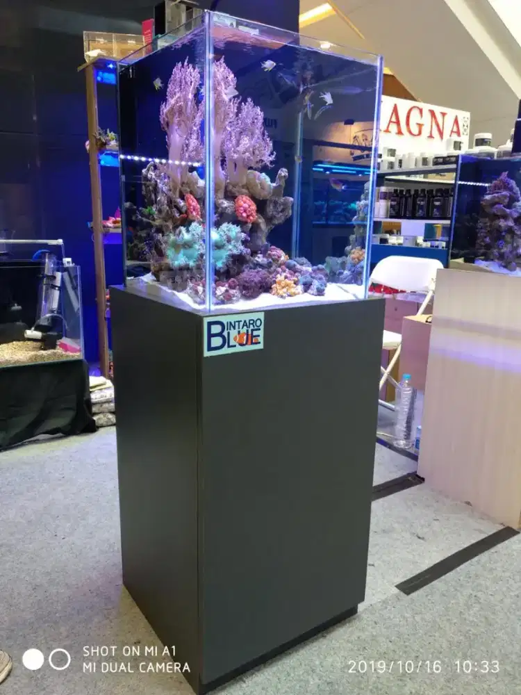 aquarium air laut ikan hias berbagai ukuran lengkap meja dan isi