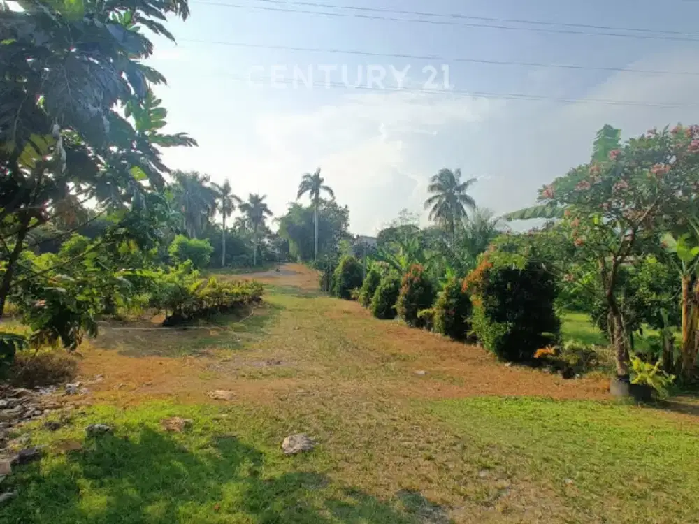 Tanah 7,7Ha Dekat Sirkuit Sentul Hanya 1 KM Dari Exit Tol