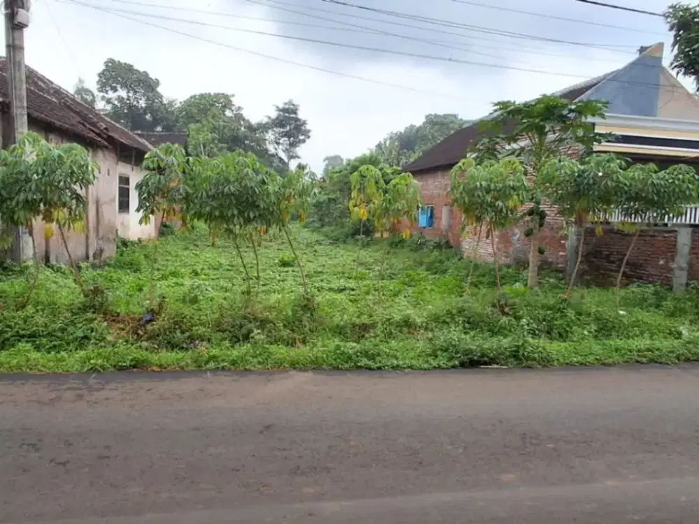 Tanah Murah Poros Terongdowo Tirtomoyo Pakis Dijual cepat B.U Poll