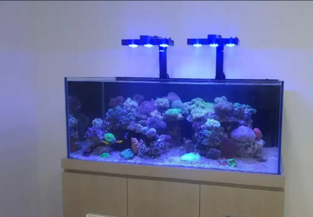 Aquarium air laut ikan hias berbagai ukuran lengkap meja dan isi