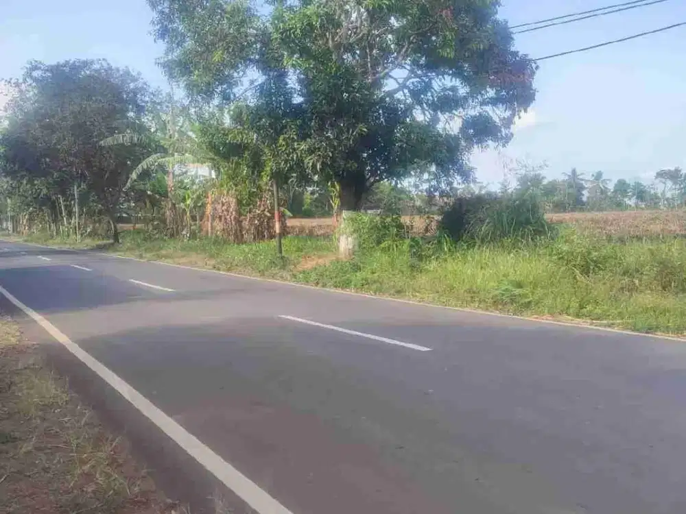 dijual Tanah di Jln Kawah ijen Bondowoso