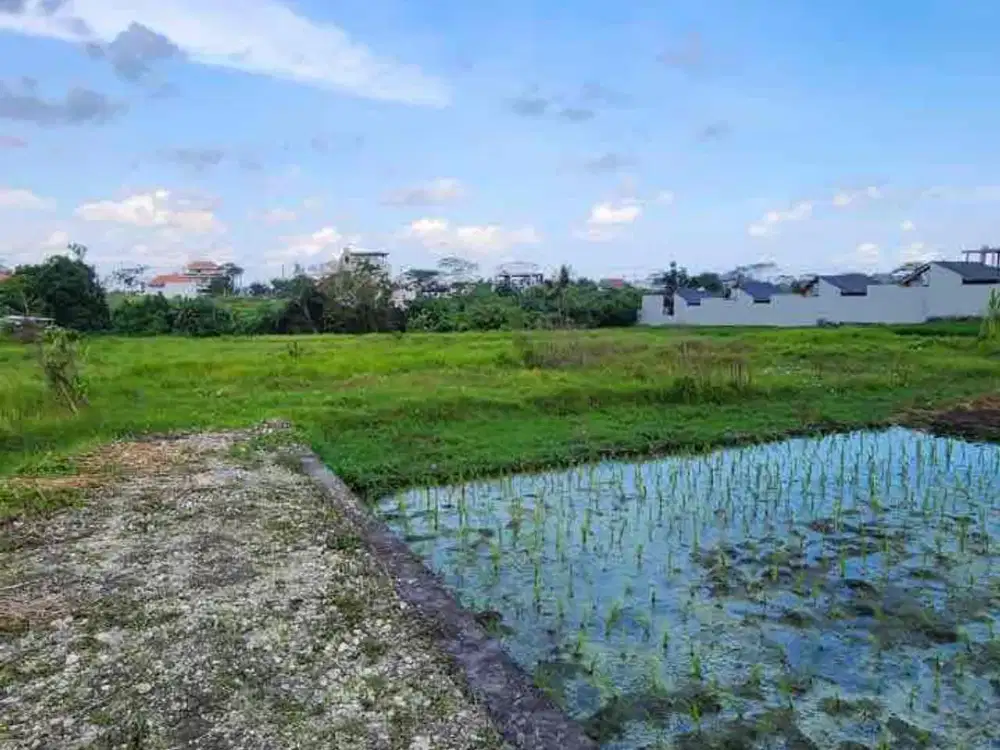 Dijual Tanah Murah di kawasan Pantai Seseh