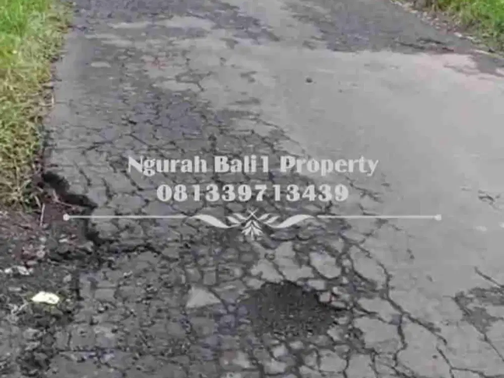 Tanah Disewakan Luas 20 Are View Sawah di Pejeng Ubud