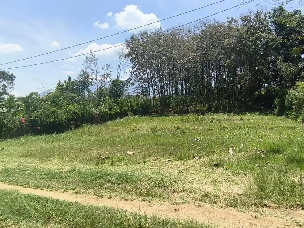 Tanah Dekat Kampus UIN 3 Malang Potensi Untuk Kost