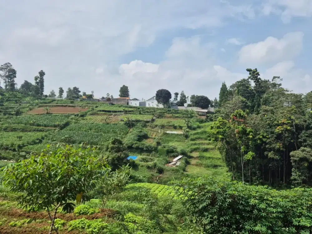 Dijual Tanah  Luas Hadap Timur di Cipageran Cimahi Harga Terjangkau