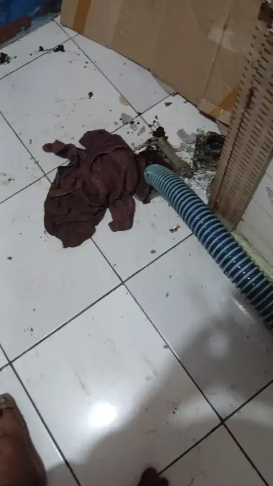 Sedot WC bambu apus Jakarta Timur dan sekitarnya