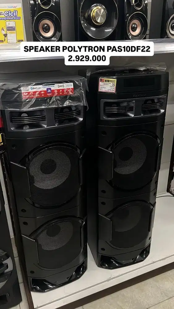 SPEAKER POLYTRON PAS10DF22