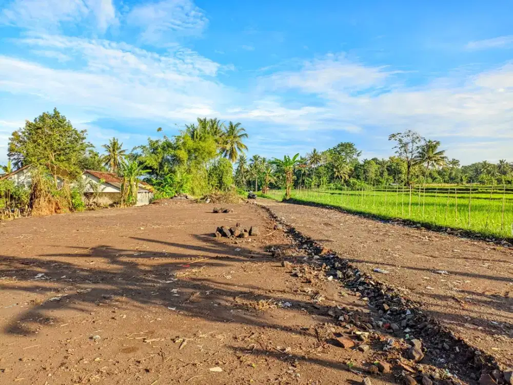 Tanah Area Palagan View Sawah dan Gunung