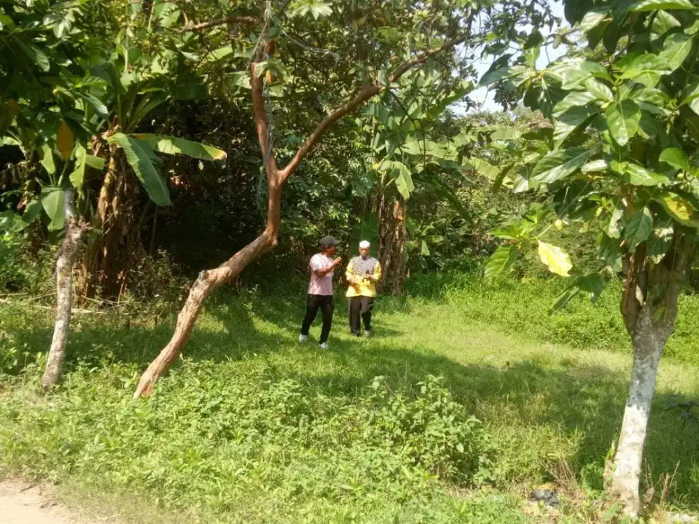 Tanah Darat, Murah Di Cikarang Timur