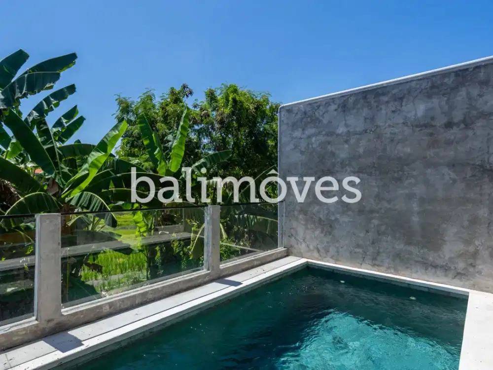 Villa Baru Dua Kamar Tidur dengan Pemandangan Sawah di Batubulan