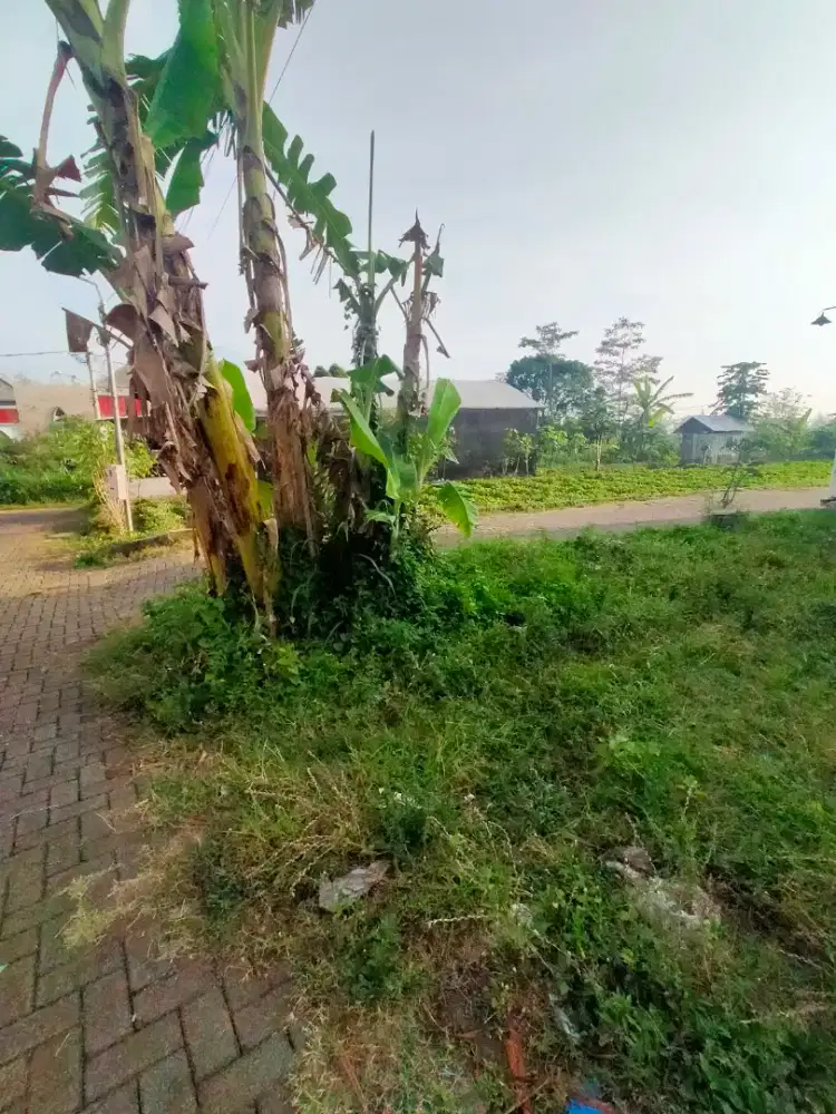 Tanah siap Bangun Dau dekat Batu dan Kota Malang
