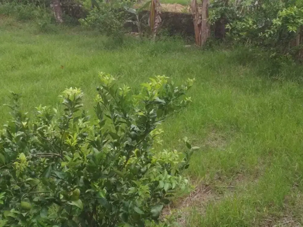 Kav Tanah 3,1 Ha ( 31.000m2 ) dekat Jl.Bypass padang 1,4  jt /m2