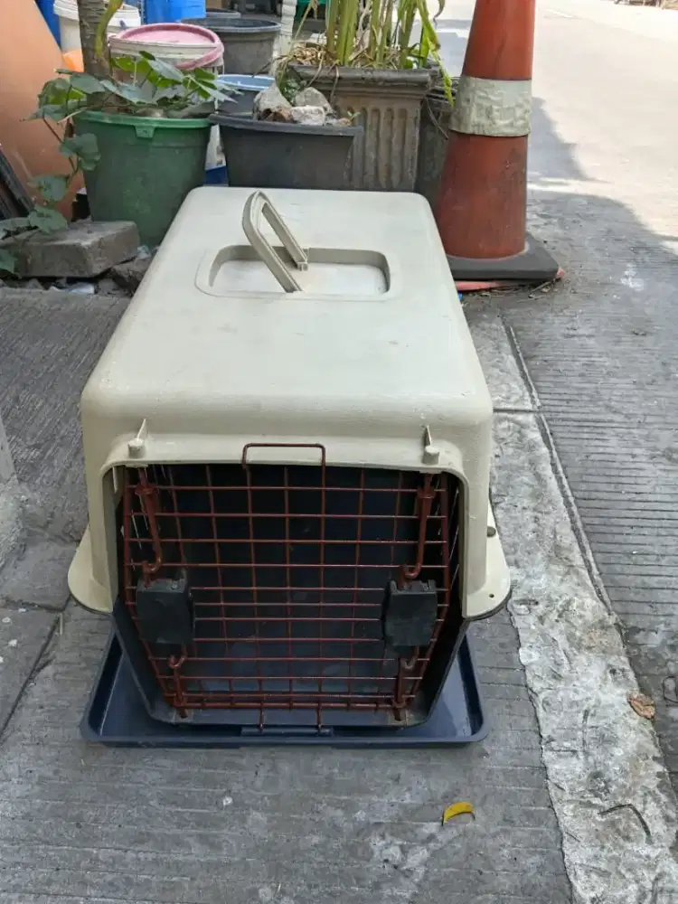 tempat bawa anjing atau kucing