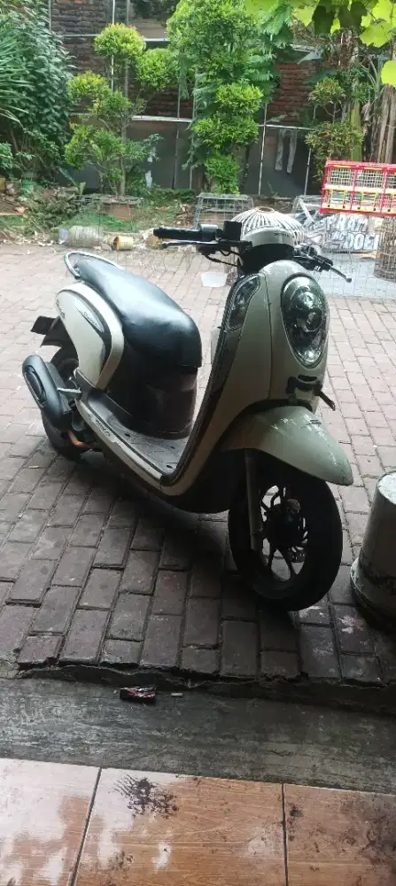 Honda Scoopy tahun 2013