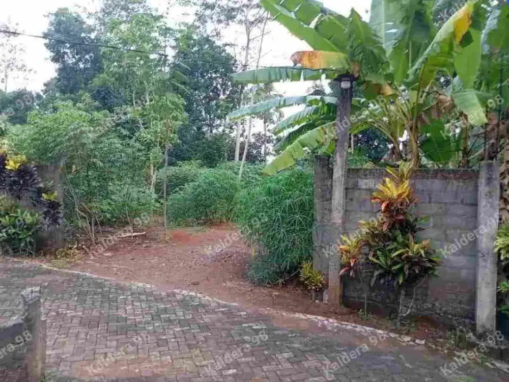 Jual Cepat Tanah 1 KM Dari Stemm Cell  Gunungpati Luas 500 m2 Hanya 250 juta