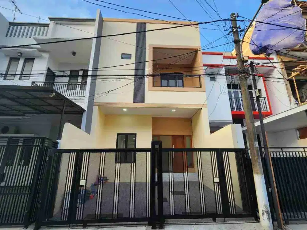 Brand New Kelapa Nias Kelapa Gading