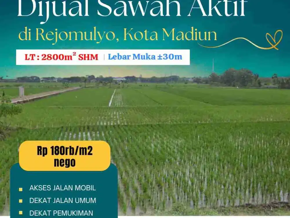 Tanah Sawah Murah Tengah Kota