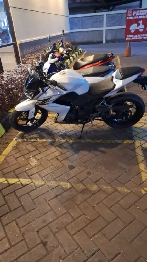 Z250 putih jak tim plat mati 2023