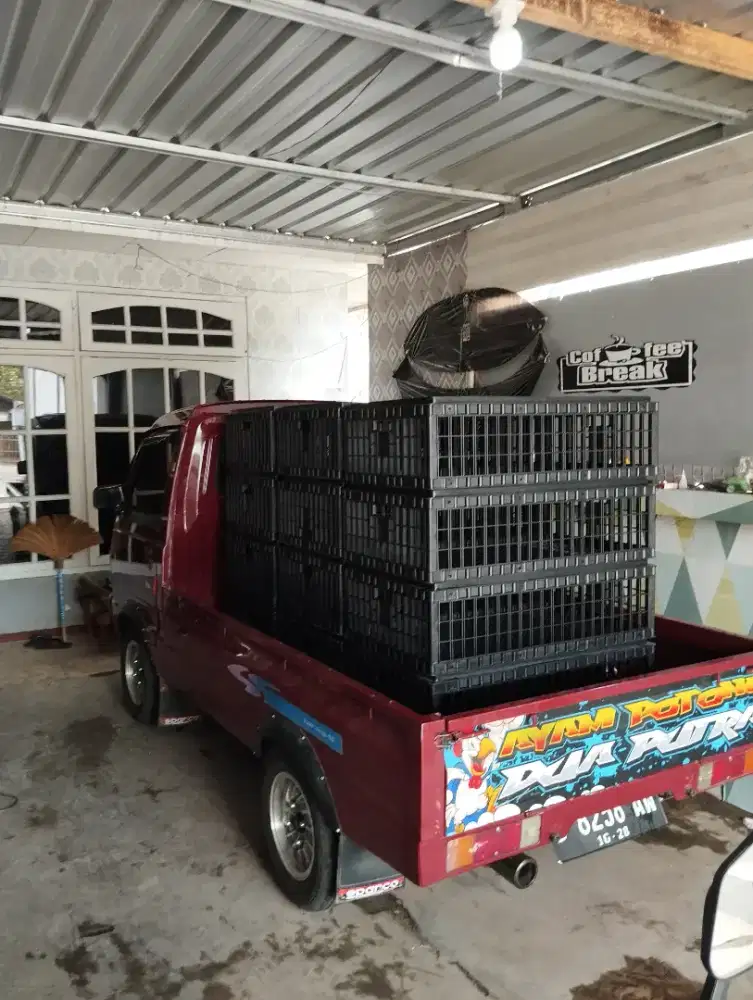 Keranjang kerambah ayam jumbo, jarang di pakai ada 12pcs