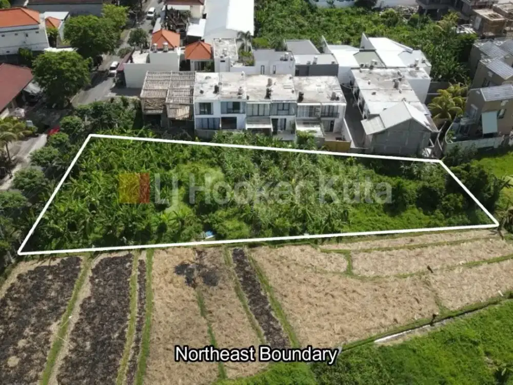 JARANG ADA! Tanah di Jalan Raya Tumbak Bayuh, Canggu - Pererenan