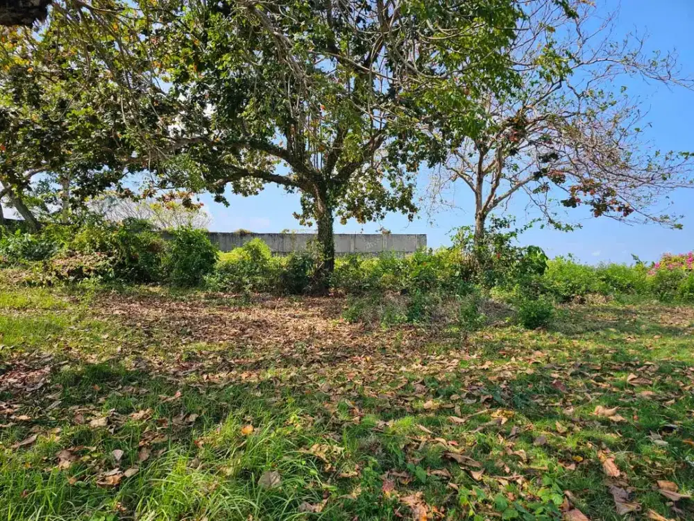 Dijual Tanah Los Tebing 
Lokasi - Pantai Pandawa, Kuta Selatan, Badung Bali