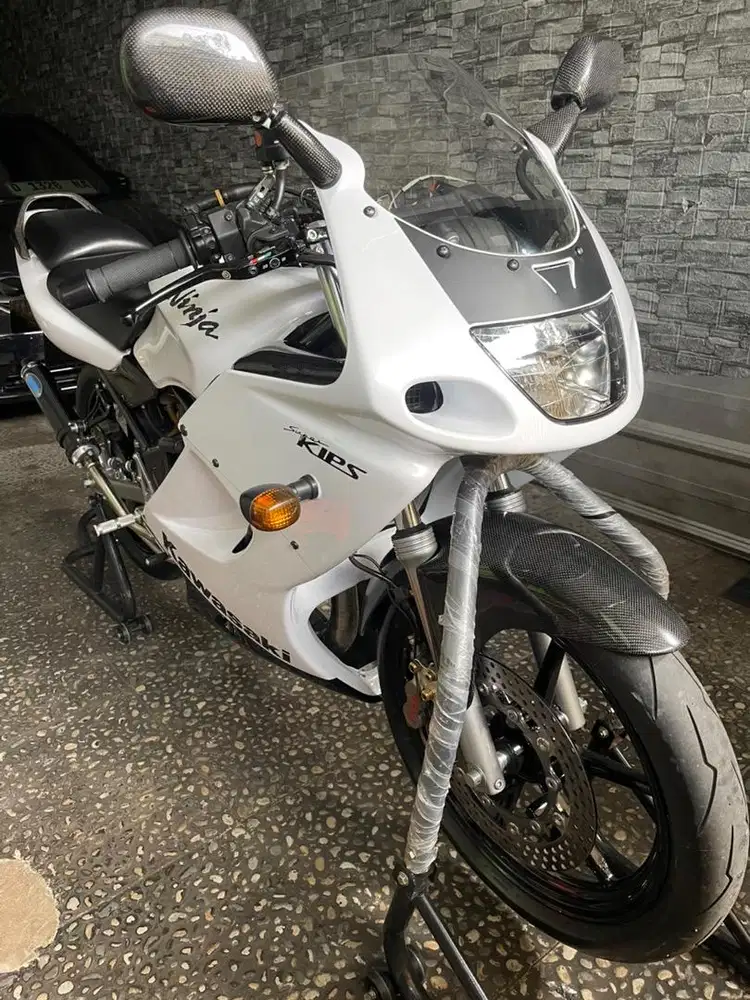 Ninja RR Old Albino 2010