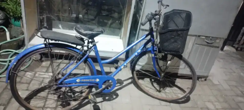 Sepeda ring 26/27 normal jaya