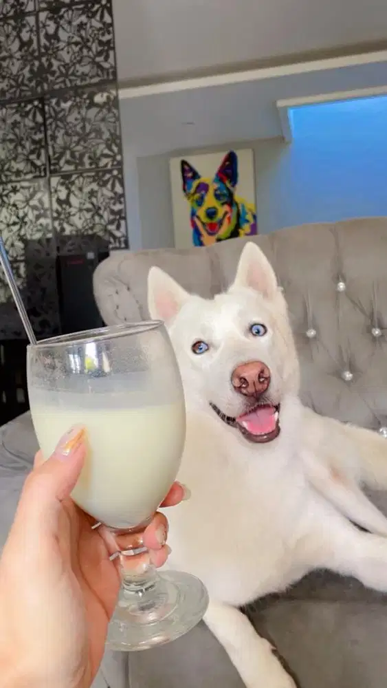 ART sambil mengasuh Yg sungguh2 ingin kerja