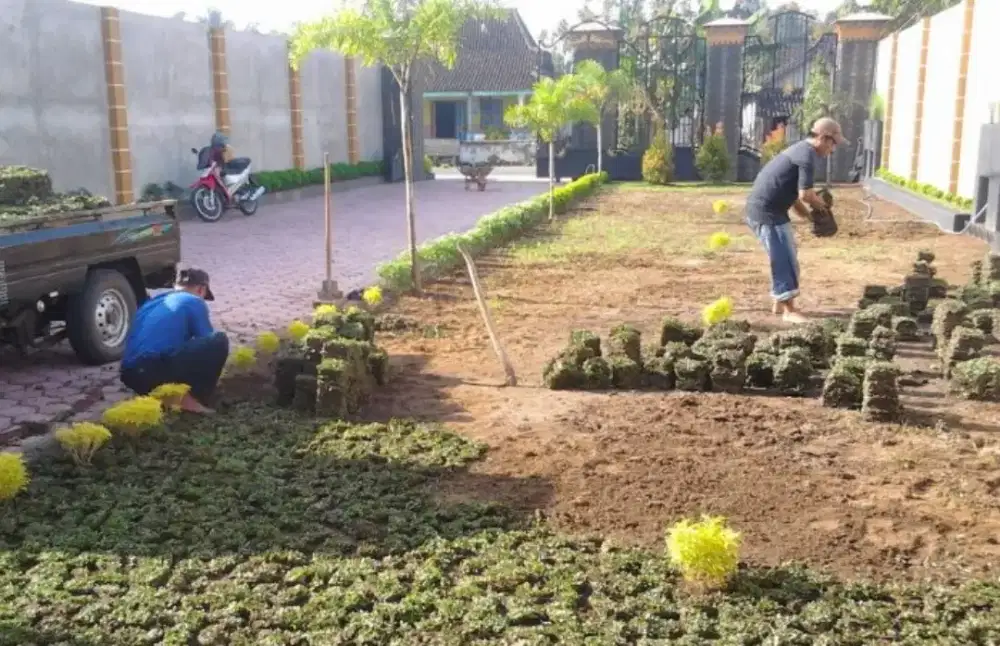 Tukang tanam rumput halaman