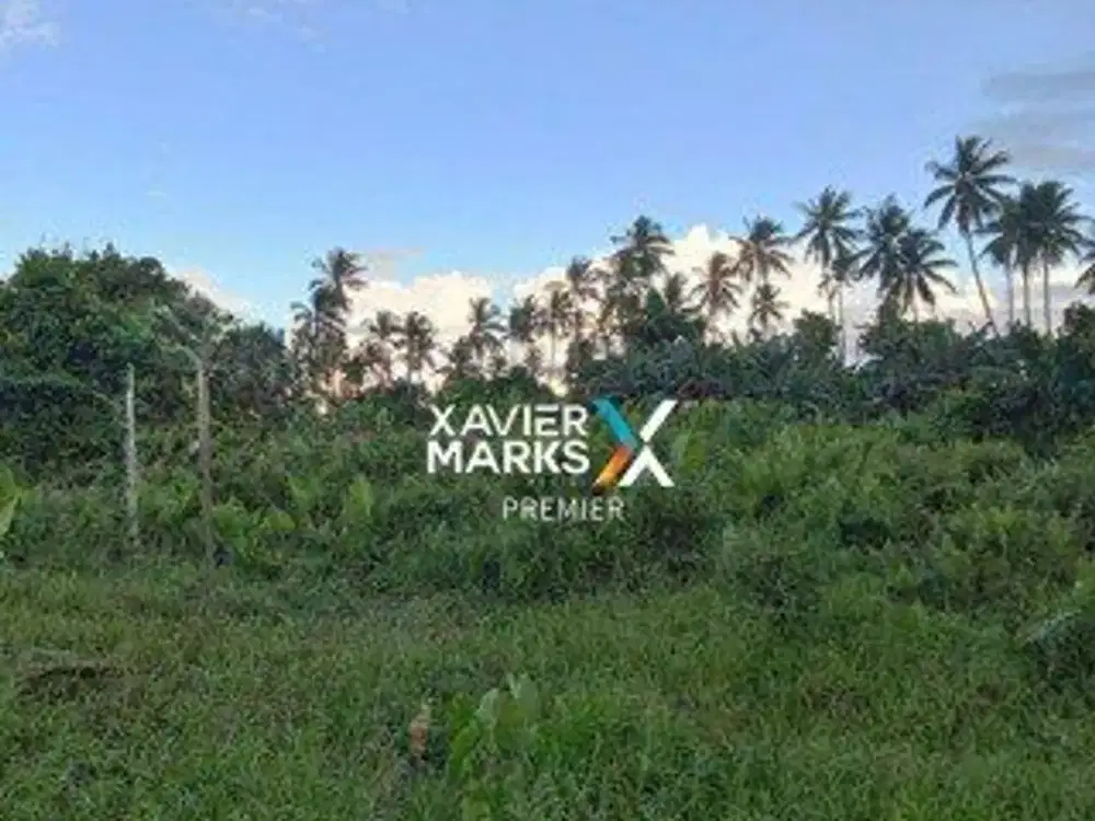 Dijual Tanah Cocok Untuk Pariwisata di Tobelo Tengah Kab Halmahera Utara Maluku Utara